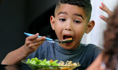 A young boy eating a healthy meal