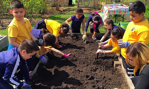 A group of children gathered around a raised garden bed at City Green